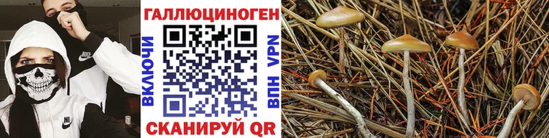 Псилоцибиновые грибы мухоморы  купить наркотик  hydra маркетплейс  Рудня 